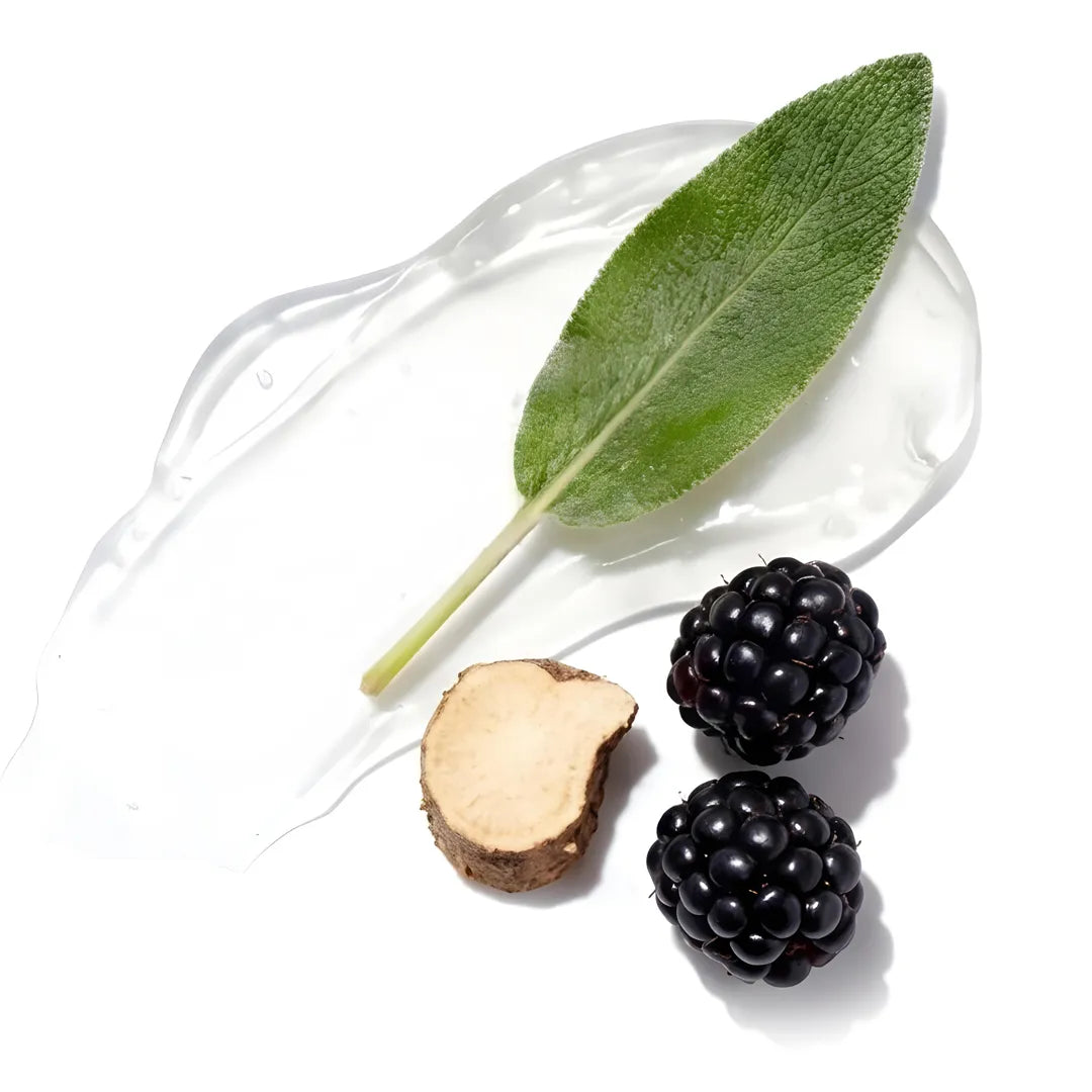 Sage, burdock and blackberry extracts as purifying botanical ingredients in Yelf Clean Affairs Purifying Mousse