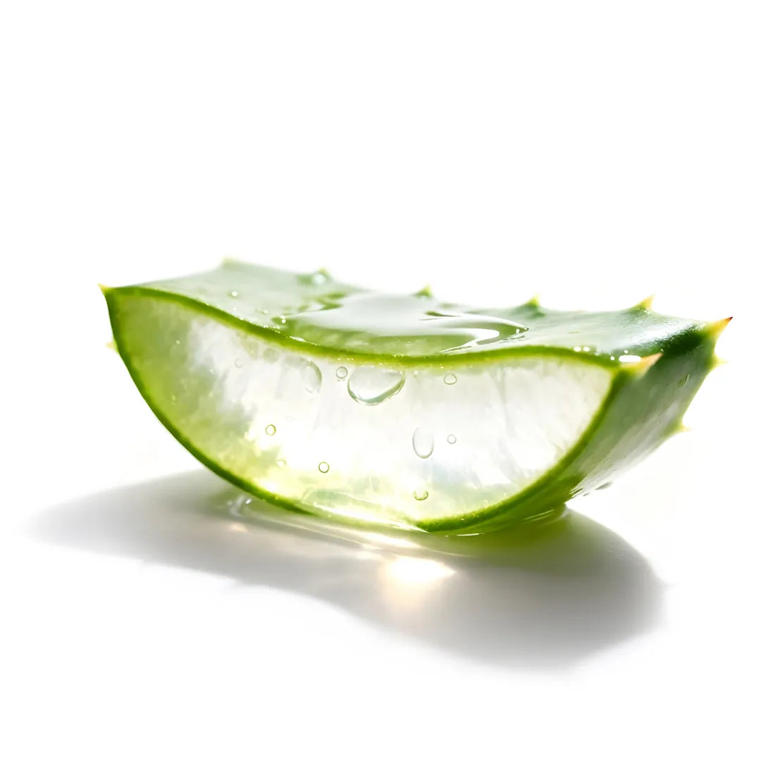 Aloe vera as the star ingredient in Yelf Clean Affairs Purifying Mousse, known for its soothing and hydrating properties
