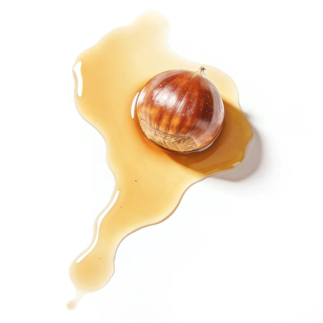Top view of a glossy horse chestnut with a light amber liquid texture on a bright white background, representing soothing and de-puffing botanical eye care ingredients