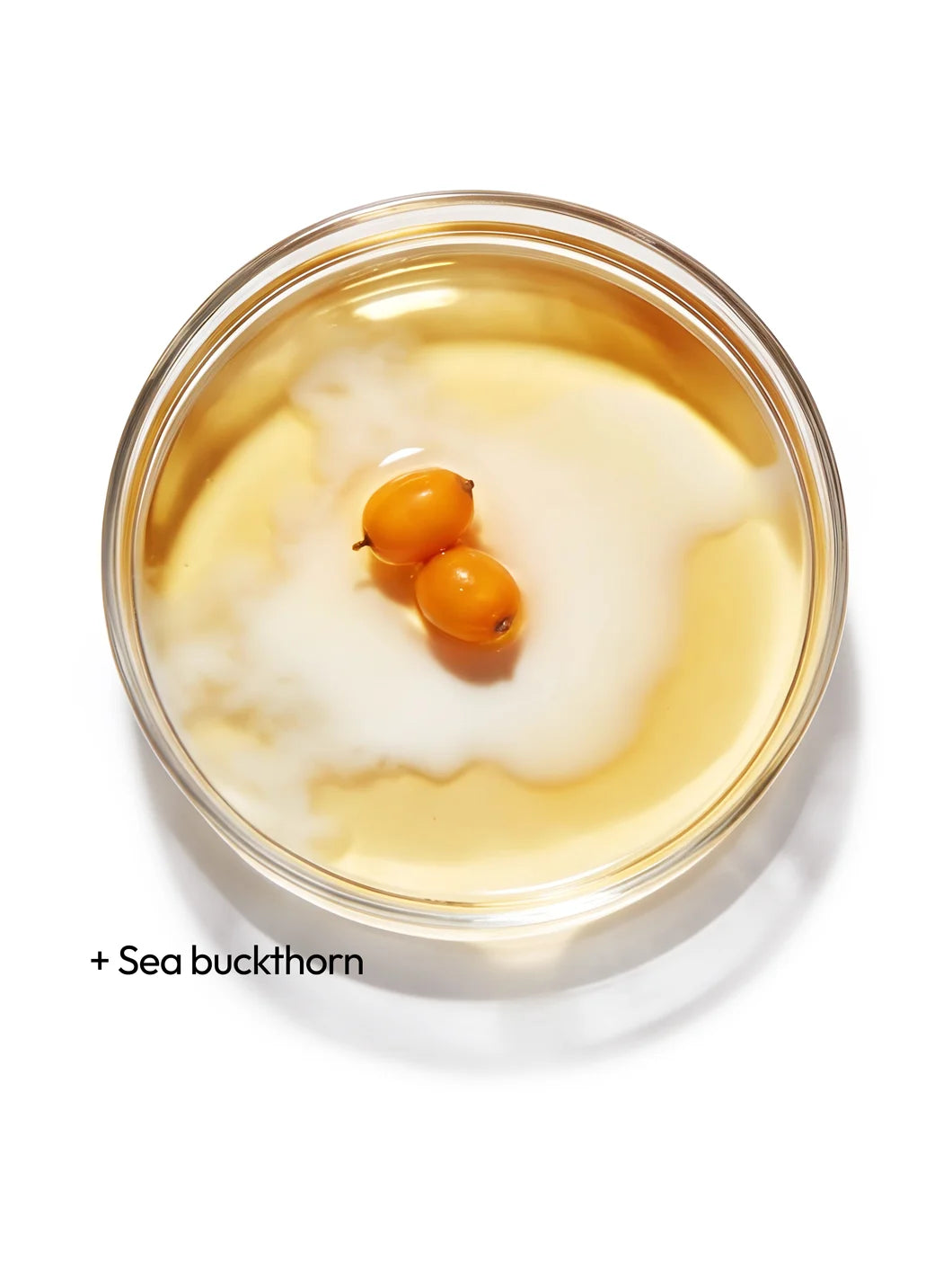 Top view of sea buckthorn in a light liquid with a soft milky swirl in a petri dish, illustrating a nourishing cleansing ingredient used in Yelf Clean Affairs Oil-to-Milk Cleanser