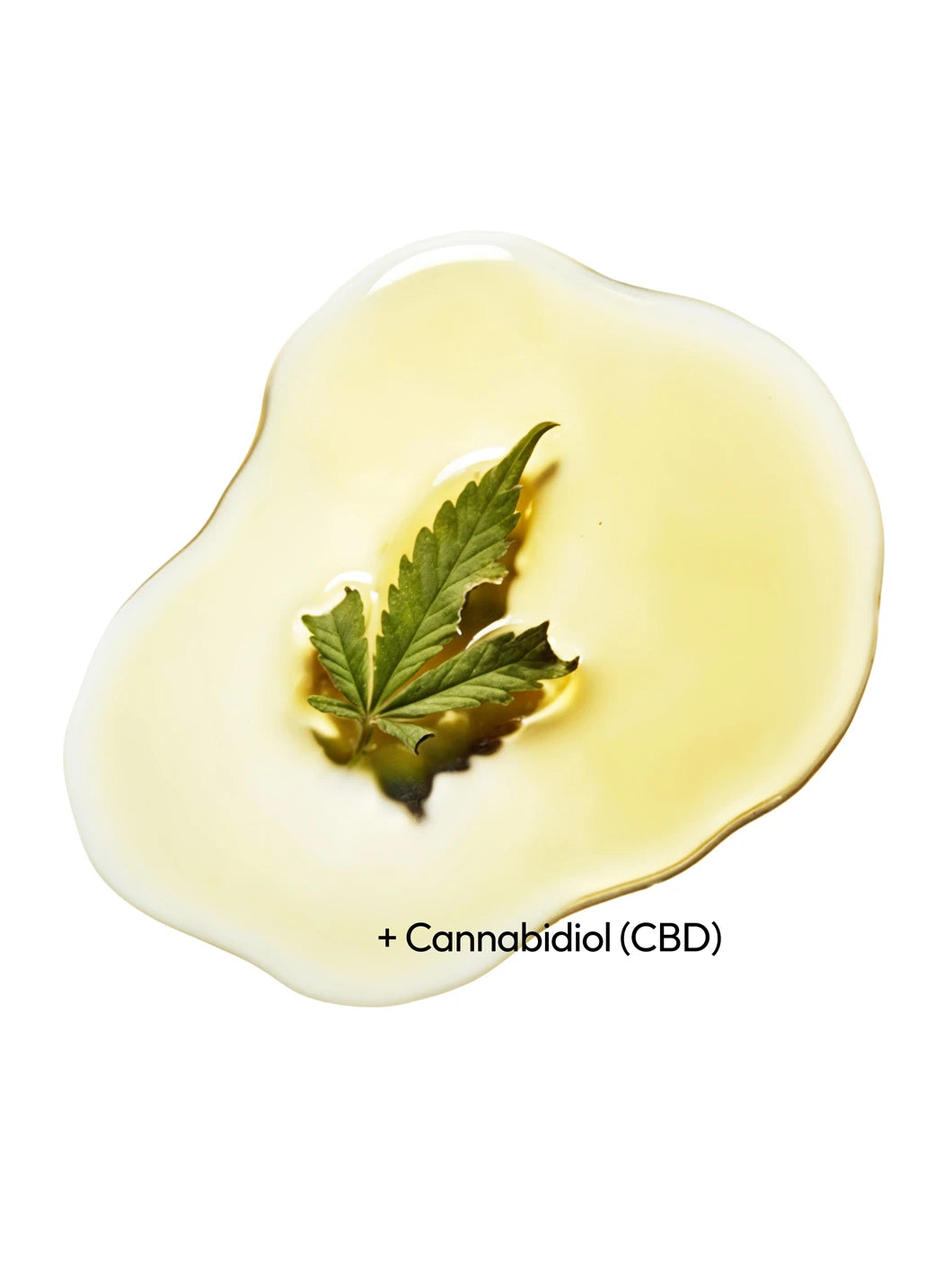 Top view of cannabidiol (CBD) in a lightweight oil texture, illustrating calming and skin-balancing properties in Yelf Viva el Boost Cannabidiol Oil